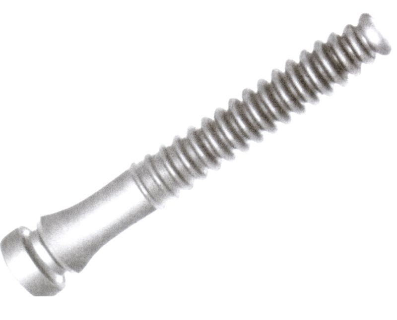 Ein Rupffinger mit einem flachen Schlitzkopf und einem groben Gewinde